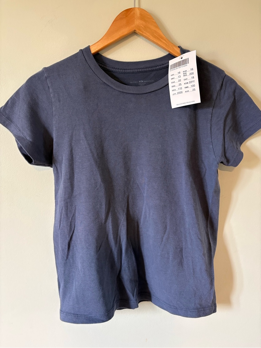 NWT Brandy Melville Muted Blue Tee Short Sleeve Shirt 100% Cotton